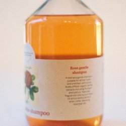 BN56111 菠丹妮 玫瑰洗髮精 500ml PE瓶