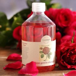 BN56111 菠丹妮 玫瑰洗髮精 500ml PE瓶