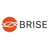 BR BRISE