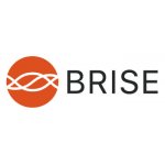 BR BRISE