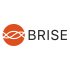 BR BRISE
