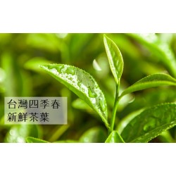 CA03 Matcha Green Tea Powder 250g