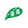CY 青葉