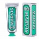 ITMV11 Marvis Classic Strong Mint Tooth Paste 25ml