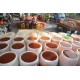 LL01 Pure Lotus Powder 250g