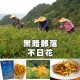 LN05 Dried Day Lily 40g