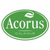 LTAC Acorus