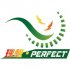 PF Perfect 理想牌