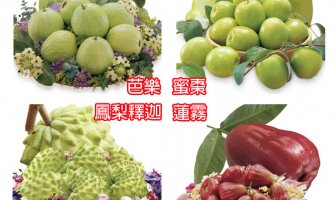 ◤TWEU◢ 限期預購 2020 0106 《TW 》台灣水果大餐