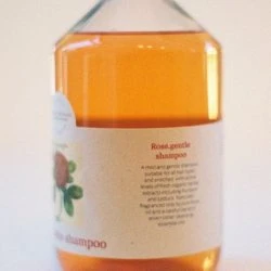 BN56111 菠丹妮 玫瑰洗髮精 500ml PE瓶