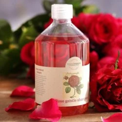 BN56111 菠丹妮 玫瑰洗髮精 500ml PE瓶