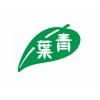 CY 青葉