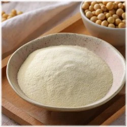 DF03 Vegetarian Soy Soup Powder 72g