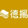 DY 德揚