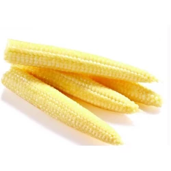 FY02 飯友 玉米筍 425g (Near-expiry)