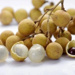 HH03 Dried Longan 300g