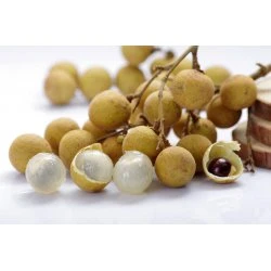 HH03 Dried Longan 300g
