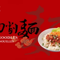 HT09 Noodle D3-01 Sliced