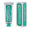 ITMV11 Marvis Classic Strong Mint Tooth Paste 25ml