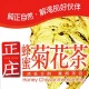 KC52 Honey chrysanthemum tea 300ml