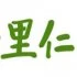 LZ 里仁 OR 龍族