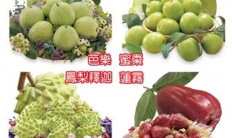 ◤TWEU◢ 限期預購 2020 0106 《TW 》台灣水果大餐