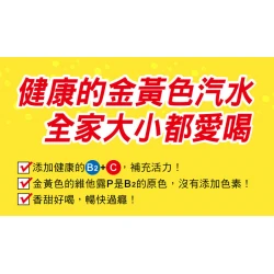 VT01 VitalonP Drinks 330ml